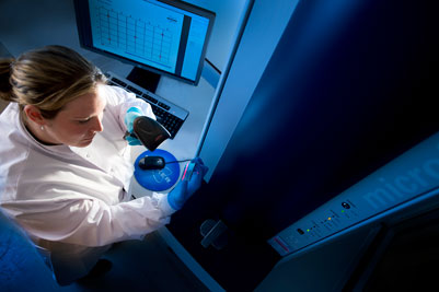 Wickham Laboratories announces new microbial identification service