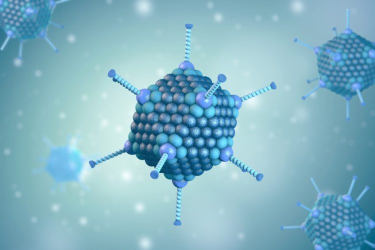 3d illustration of adenovirus - a common viral vector