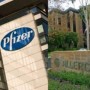 pfizer and allergan