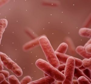 Could FDA recommend new antibiotic for hospital-acquired pneumonia? antibiotic-resistant infection