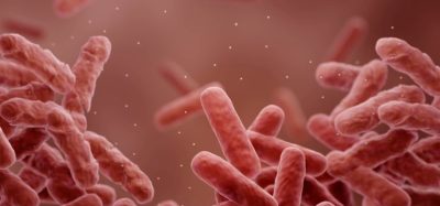 Could FDA recommend new antibiotic for hospital-acquired pneumonia? antibiotic-resistant infection