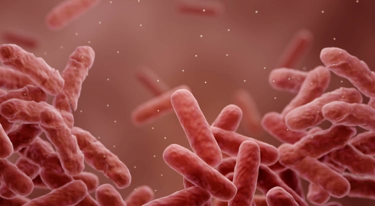 Could FDA recommend new antibiotic for hospital-acquired pneumonia? antibiotic-resistant infection