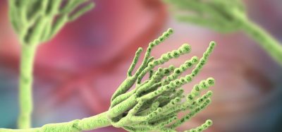 Sandoz to invest €50 million in new antibiotic manufacturing facility