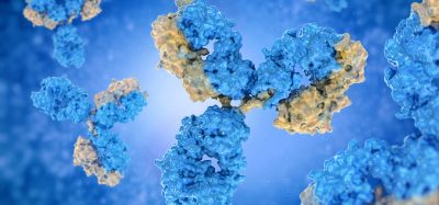 Blue and yellow antibodies