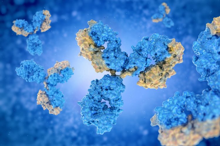 Blue and yellow antibodies