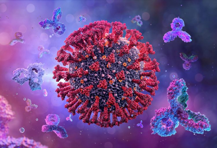 blue antibodies surrounding a black coronavirus particle with red spike surface proteins
