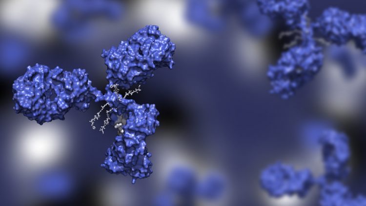 Blue Antibody drug conjugate with four drug compounds linked to IgG immunoglobulin