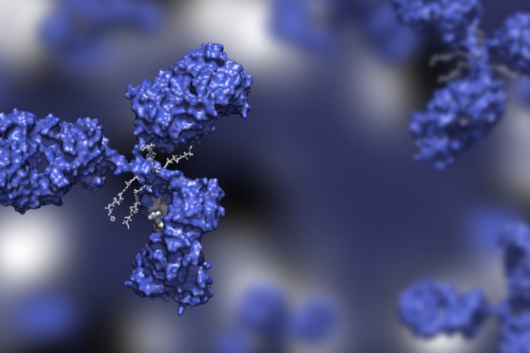 Antibody drug conjugate with four drug compounds linked to IgG immunoglobulin; ADC in blue against blue background