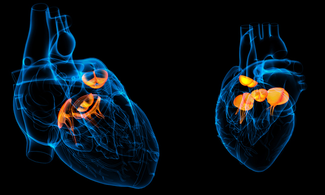 imaging aortic