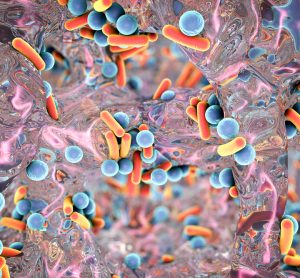 Biofilm of antibiotic resistant bacteria.