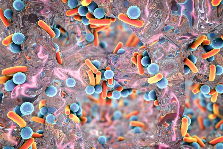Biofilm of antibiotic resistant bacteria.