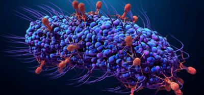 3d illustration - red bacteriophages infecting large blue bacterium