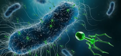 Illustration of bacteriophages attacking bacteria
