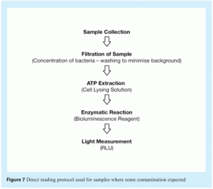 bagur - figure 7