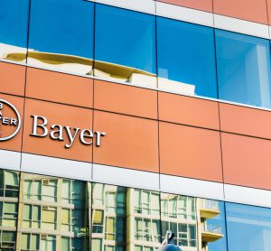 Bayer Head of Oncology