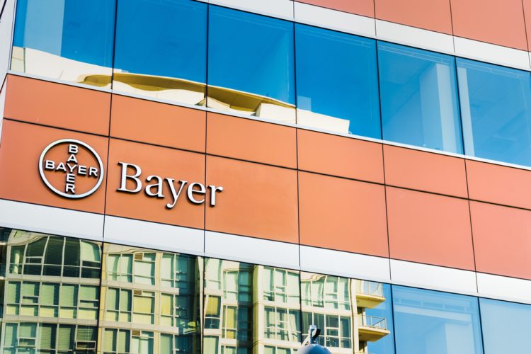 Bayer Head of Oncology