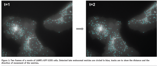 bickle - figure 1