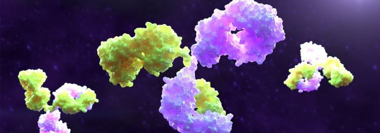 FDA approves off-the-shelf bispecific antibody cancer therapy