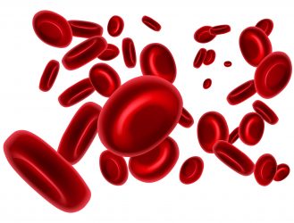 red blood cells on a white background - idea of blood disorder