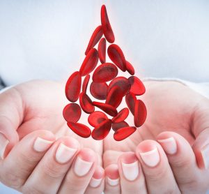 close up of a woman's hands with a drop shape formed of red blood cells hovering above - idea of treatment for blood disorder