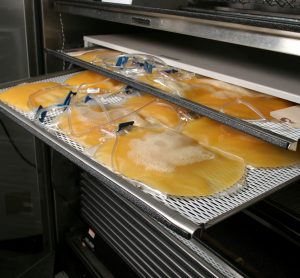 blood plasma in bags on the shelves at a blood bank