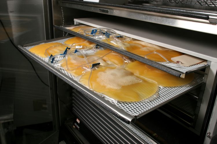 blood plasma in bags on the shelves at a blood bank