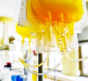 bags of blood plasma hanging for infusion