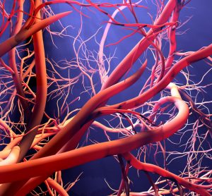 red blood vessels forming on a blue background - idea of blood vessel abnormalities/overgrowth associated with PROS