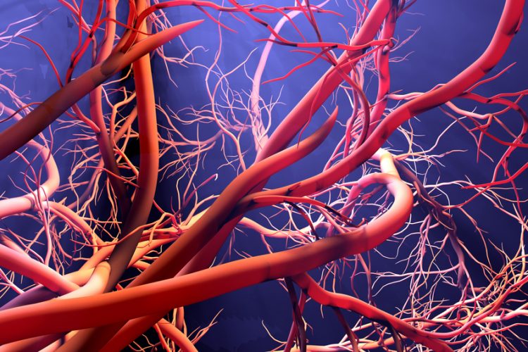 red blood vessels forming on a blue background - idea of blood vessel abnormalities/overgrowth associated with PROS