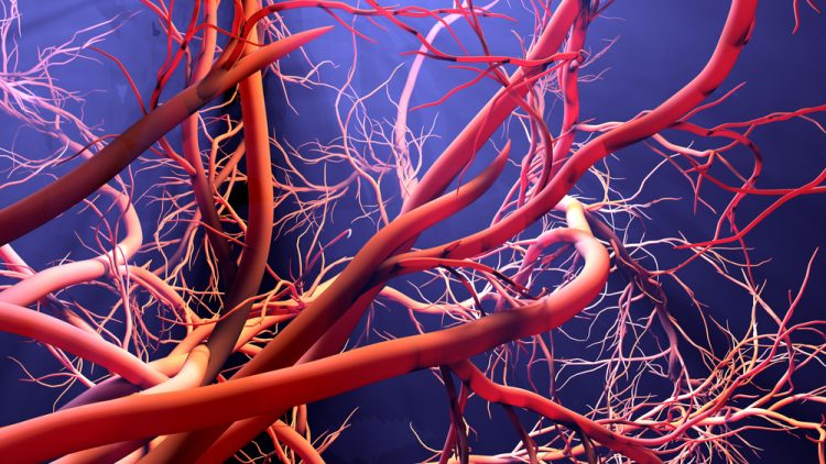 red blood vessels forming on a blue background - idea of blood vessel abnormalities/overgrowth associated with PROS