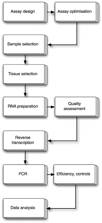 The real-time reverse transcription polymerase chain reaction (RT-qPCR) has become the enabling technology par excellence in every field of molecular research and development, including that of clinical drug development and discovery. Its ability to detect as well as quantify RNA biomarkers sensitively, specifically and speedily has made it an indispensable tool in translating the identification of complex biological processes into an understanding of their roles in disease pathology, response to therapy and associated pharmacological proof-of-concept drug efficacy and toxicity studies.