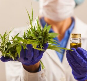 cannabis-based drug approved