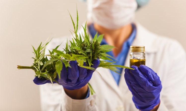 cannabis-based drug approved
