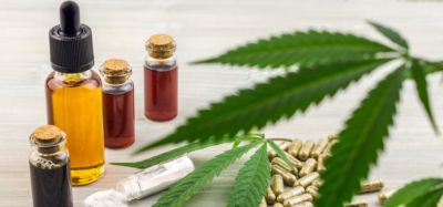Cannabis leaves on a table next to extracts/oils in bottles and green-grey capsules - idea of cannabis-based medications