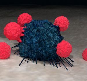 CAR-T cells in red attacking a blue cancer cells