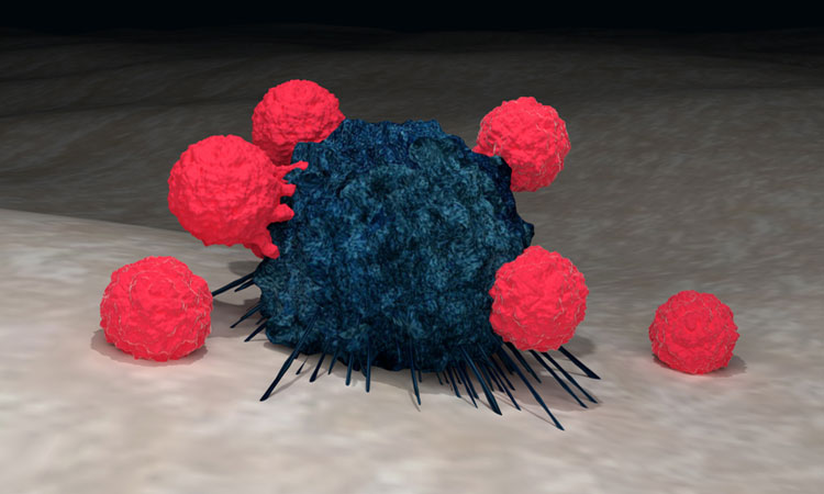 CAR-T cells in red attacking a blue cancer cells