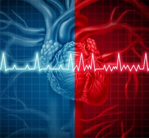 two heart rythms - one over red is arrythmic, the other on blue is normal