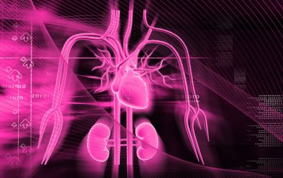 cardio-renal-heart-kidney