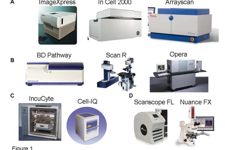 Figure 1 High Content Imaging Technology. The leading fluorescent high content imaging platforms established within the pharmaceutical and biotechnology industry. Represented are; A. Fully automated high throughput high content imaging systems (ImageXpress, InCell, BD Pathway, ScanR, Opera and the Arrayscan). B. Live cell kinetic imaging systems (IncuCyteFLR and Cell-IQ) and C. Fluorescent tissue slide imaging platform (Scanscope FL)