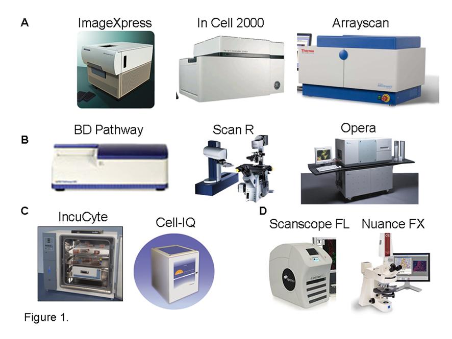 Figure 1 High Content Imaging Technology. The leading fluorescent high content imaging platforms established within the pharmaceutical and biotechnology industry. Represented are; A. Fully automated high throughput high content imaging systems (ImageXpress, InCell, BD Pathway, ScanR, Opera and the Arrayscan). B. Live cell kinetic imaging systems (IncuCyteFLR and Cell-IQ) and C. Fluorescent tissue slide imaging platform (Scanscope FL)