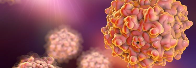 The evolution of AAVs in cell and gene therapy