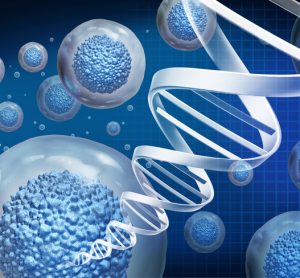 Idea of regenerative medicine/cell therapy - cells and a DNA strand in blue