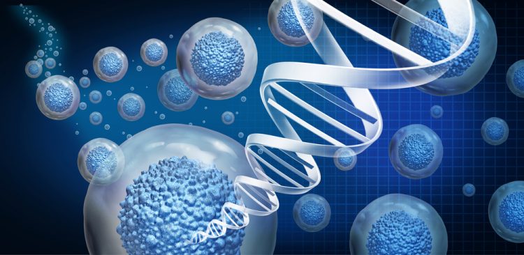 Idea of regenerative medicine/cell therapy - cells and a DNA strand in blue