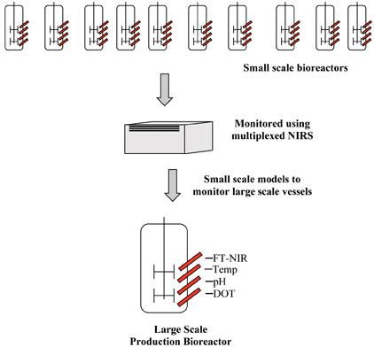 Figure 2: Pictorial representation of the small scale models developed using multiplexed NIRS to monitor large scale vessels