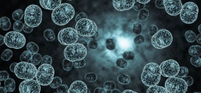 WHO prequalifies meningitis conjugate vaccine