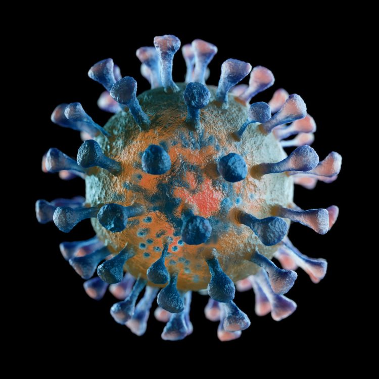 3D rendering of a coronavirus particle