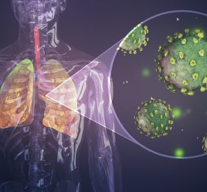 coronavirus particles in the lungs