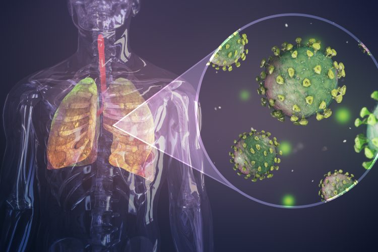 coronavirus particles in the lungs