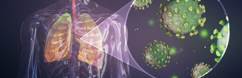 coronavirus particles in the lungs