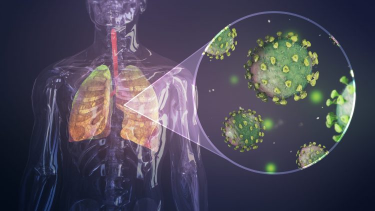 coronavirus particles in the lungs